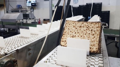 מסוע רשת להובלה וקירור - נגב אלרם תעשיות